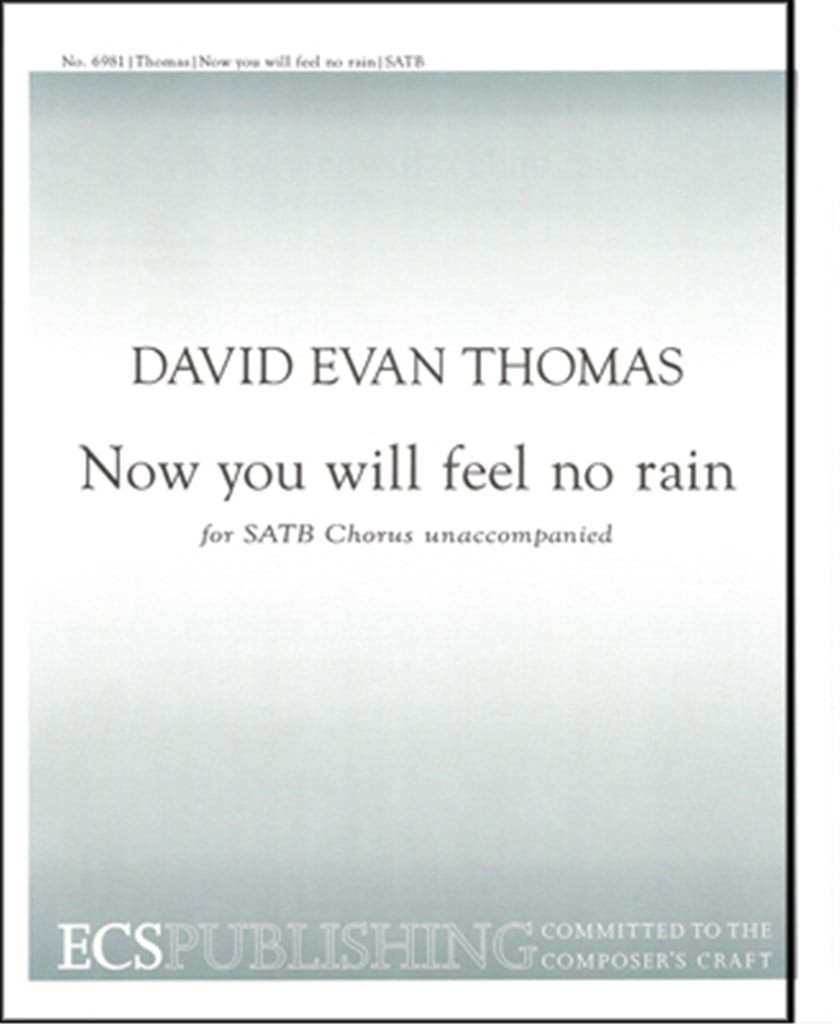 Now You Will Feel No Rain